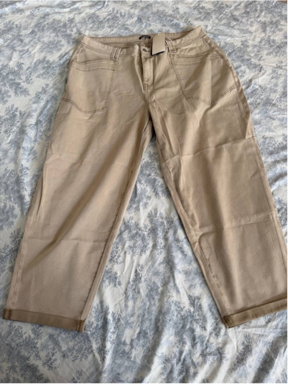Flamingals Straight Leg High Rise Pants Solid Dual Button 4XL